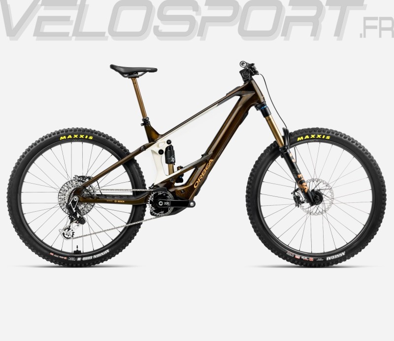 WILD M-LTD 2025